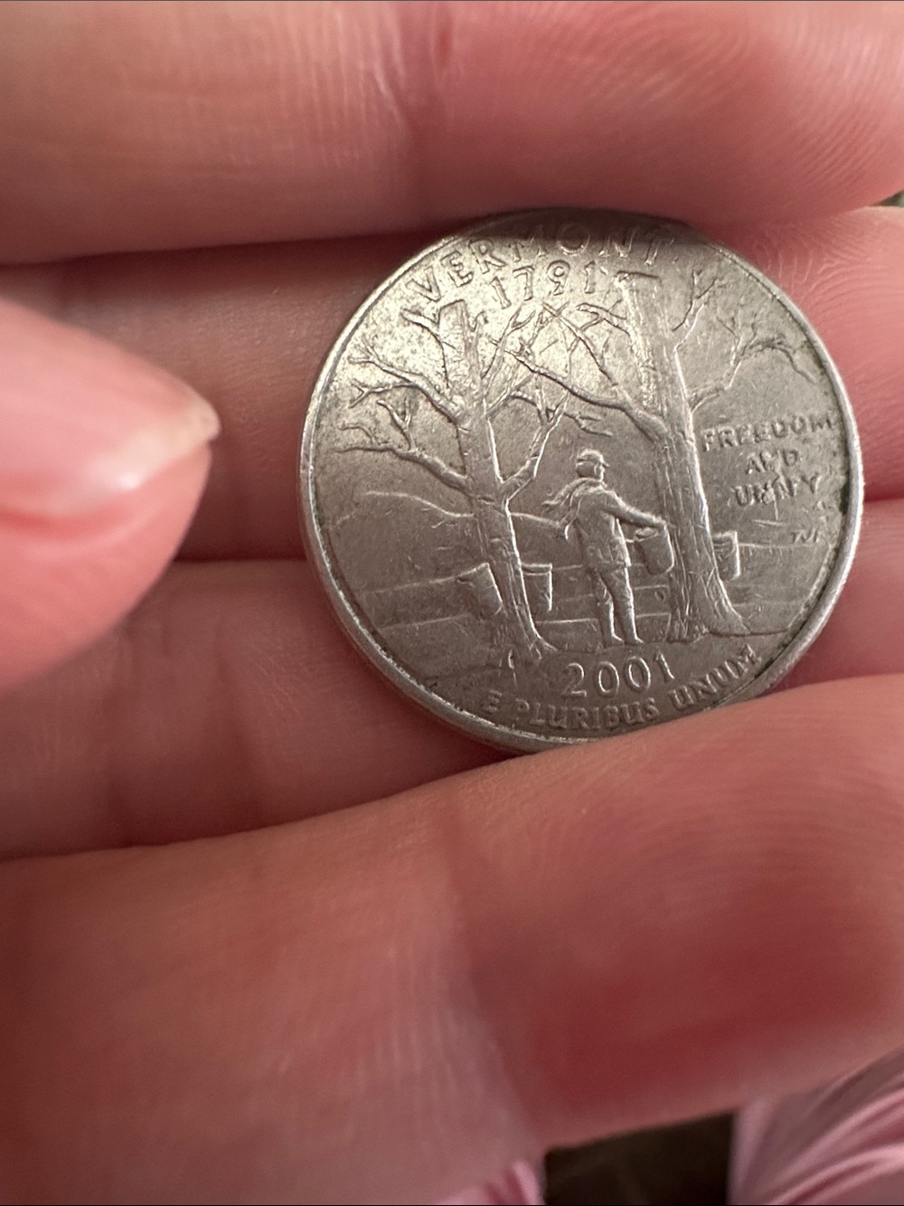 2001 U.S. Quarter - Silver Tone